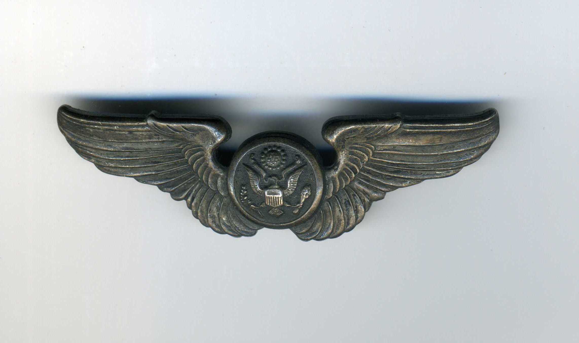 Carl
          Williamsons aircrew badge