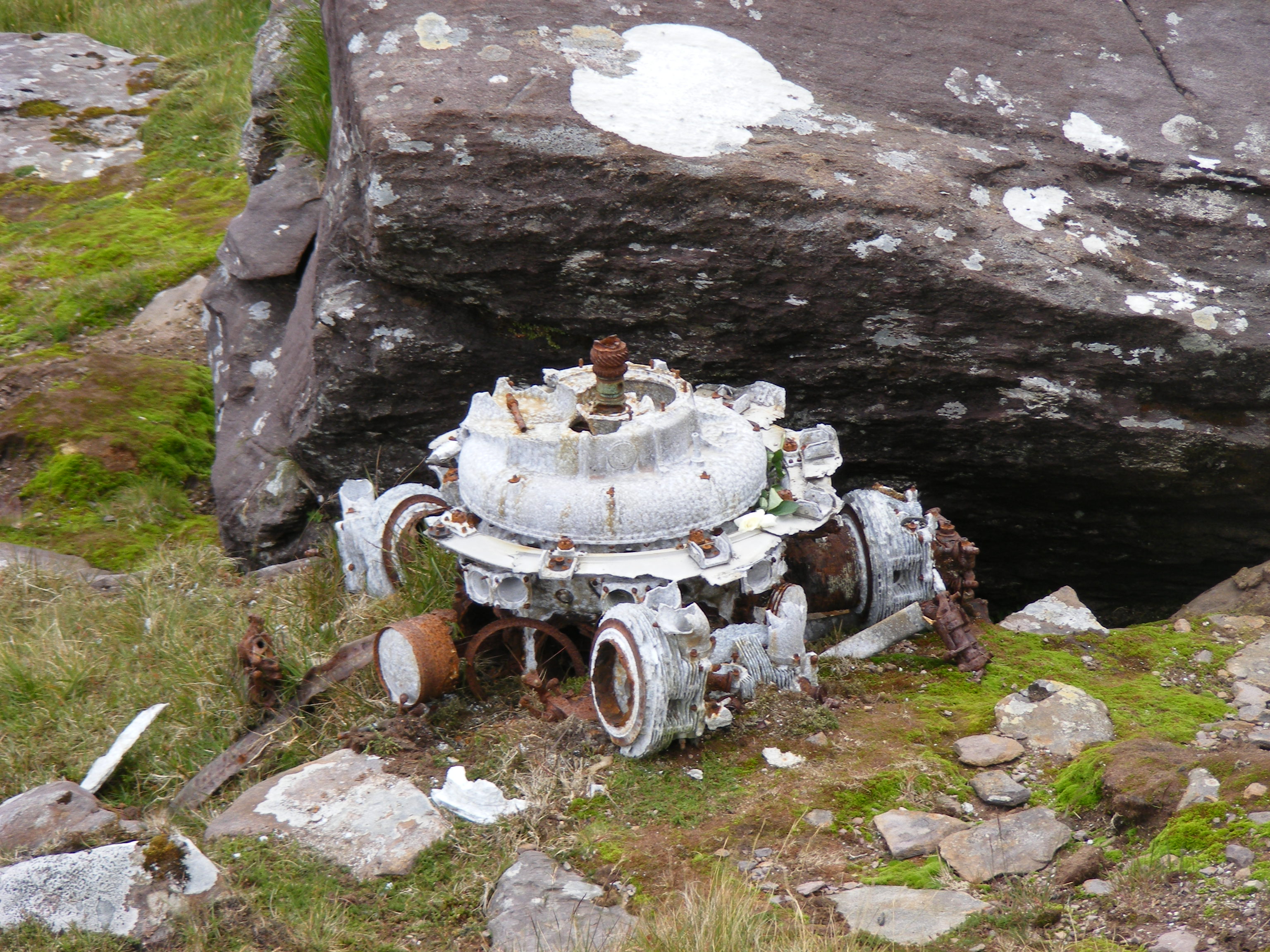 G-AGES engine, with Katie's rose.